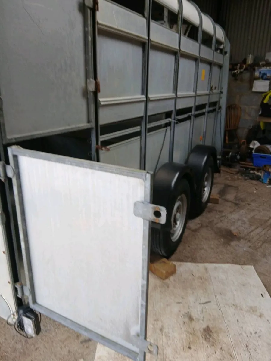 Mint ifor cattle trailer CALL 0868782672 - Image 4