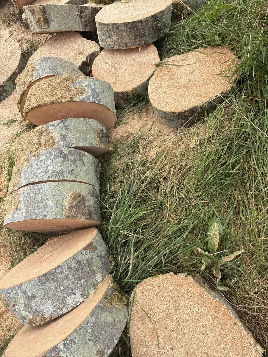 Timber for sale - Image 1