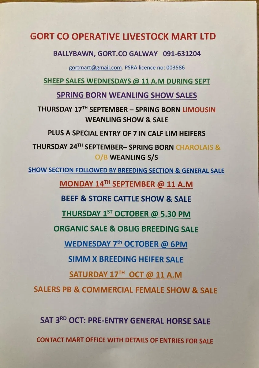 Gort Mart: Mon 14th Sept: Beef & Store Cattle Show - Image 1
