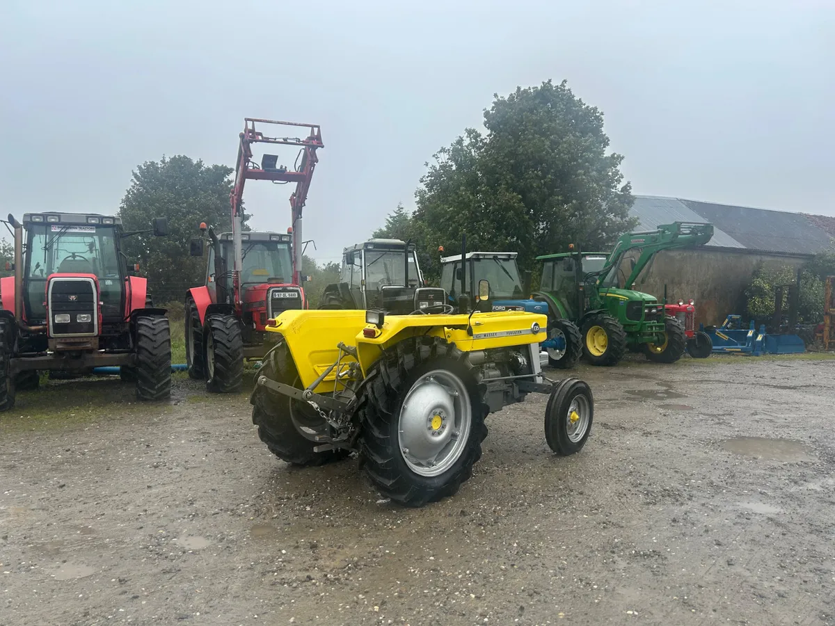 Massey Ferguson 135 - Image 2