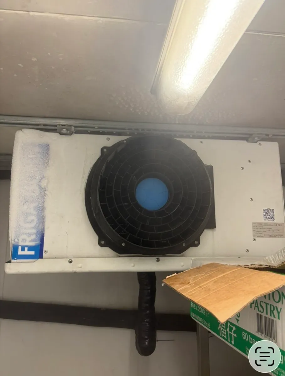 Cold and freezer room - Image 4