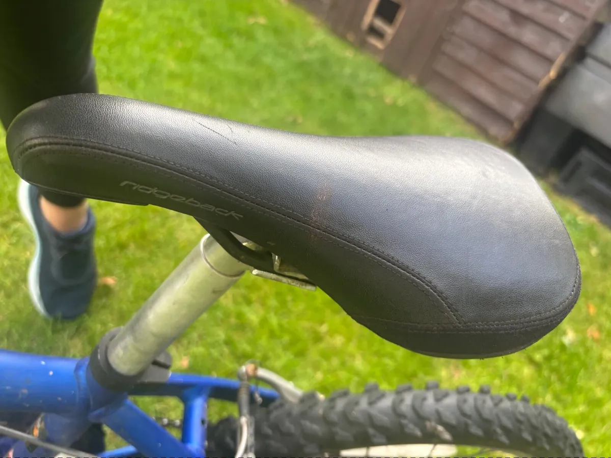 Kids bicycle RIDGEBACK 20’ - Image 3