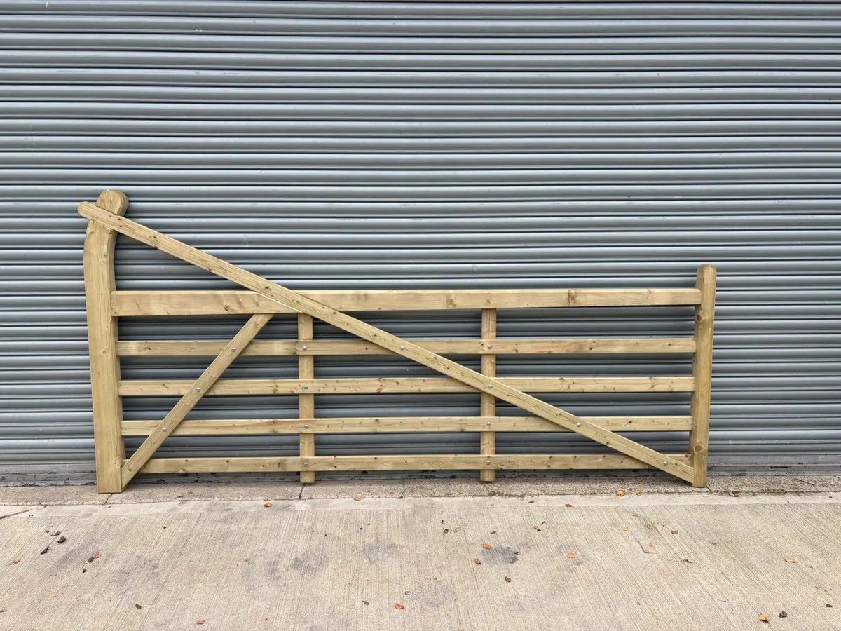 Fencing - Image 2