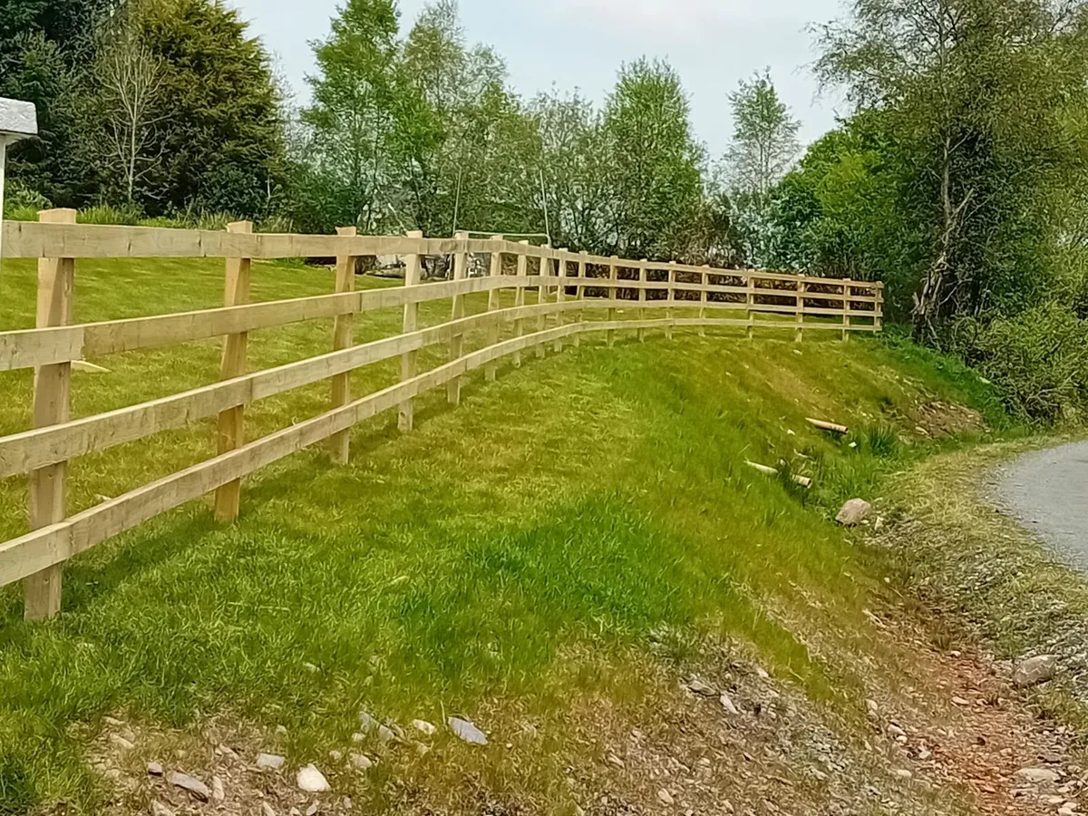 Fencing - Image 3