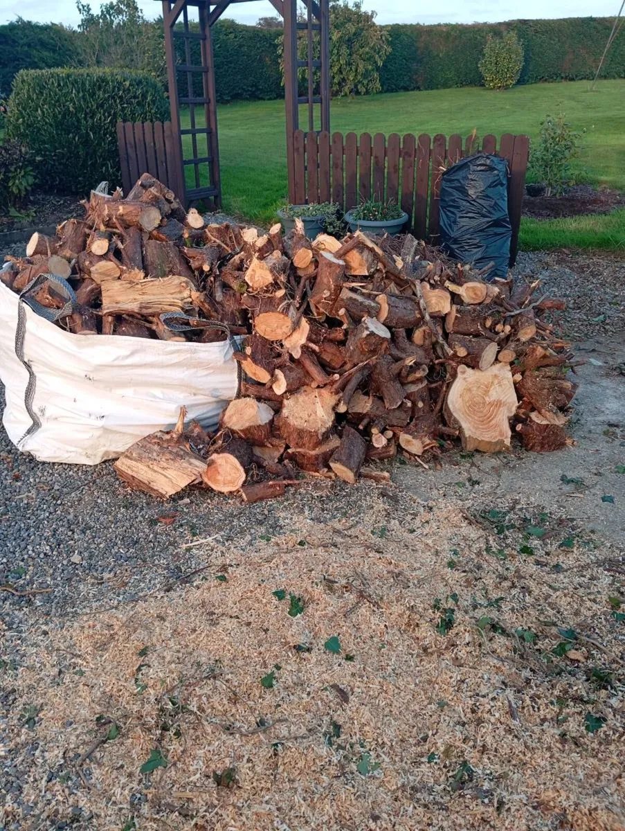 Timber - Image 1