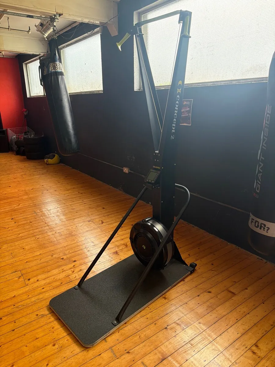Concept 2 ski erg