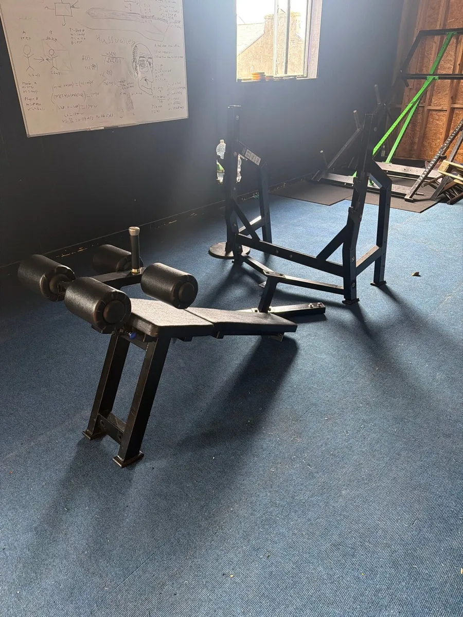 Decline bench for sale