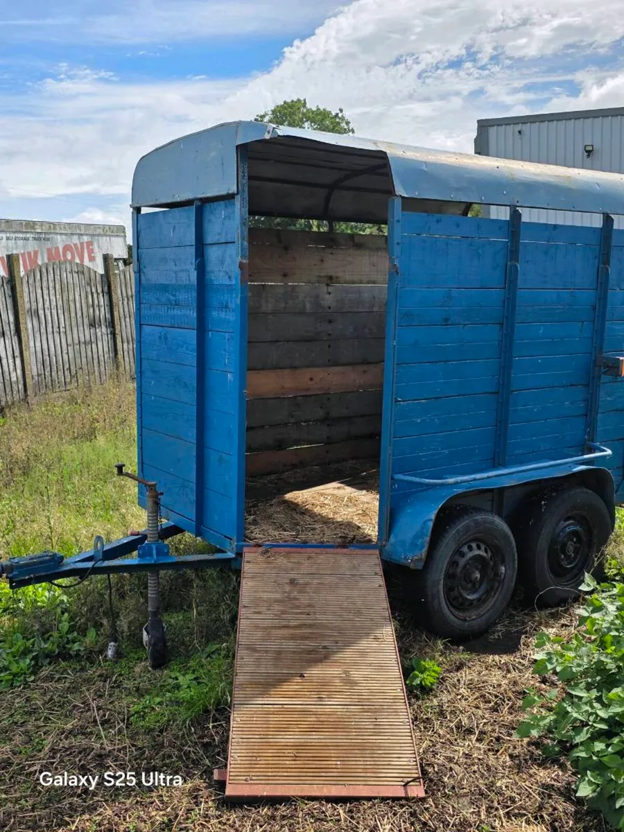 Horsebox - Image 2