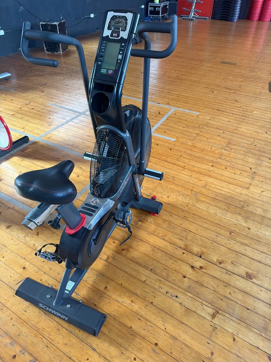 Schwinn air bike