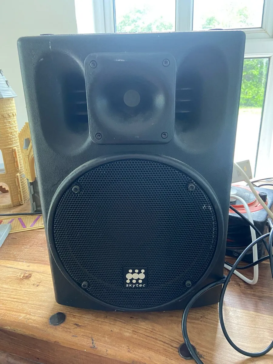 Pa Speaker 250 watt 10 inch - Image 1