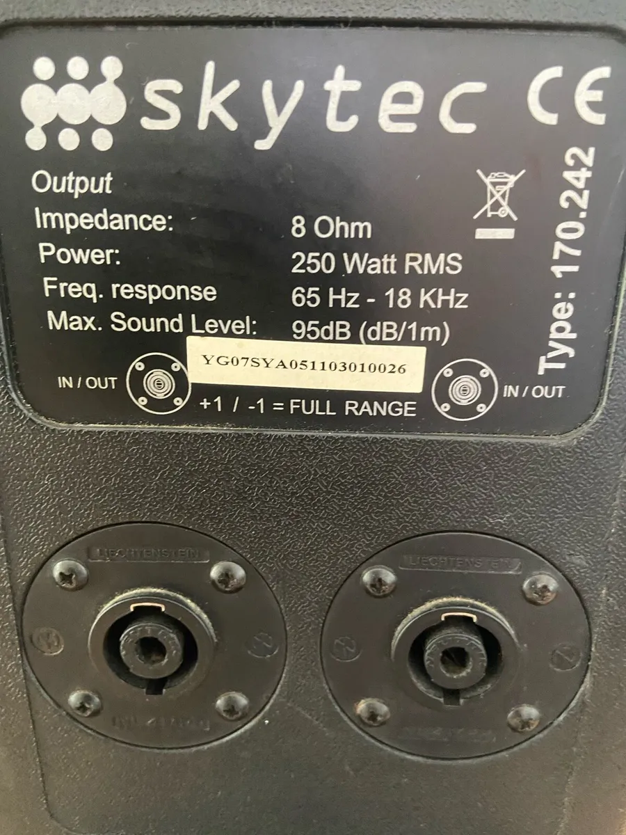Pa Speaker 250 watt 10 inch - Image 2