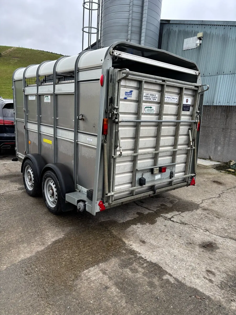 Immaculate 10ft Ifor Williams with sheep decks - Image 4