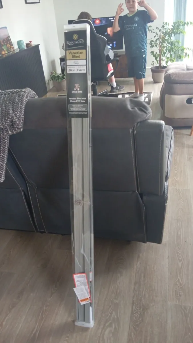 Blinds - Image 1