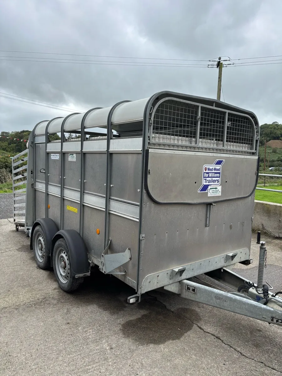Immaculate 10ft Ifor Williams with sheep decks - Image 1