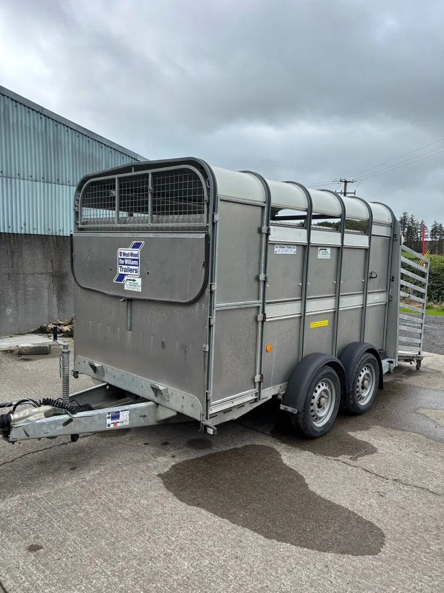 Immaculate 10ft Ifor Williams with sheep decks - Image 2