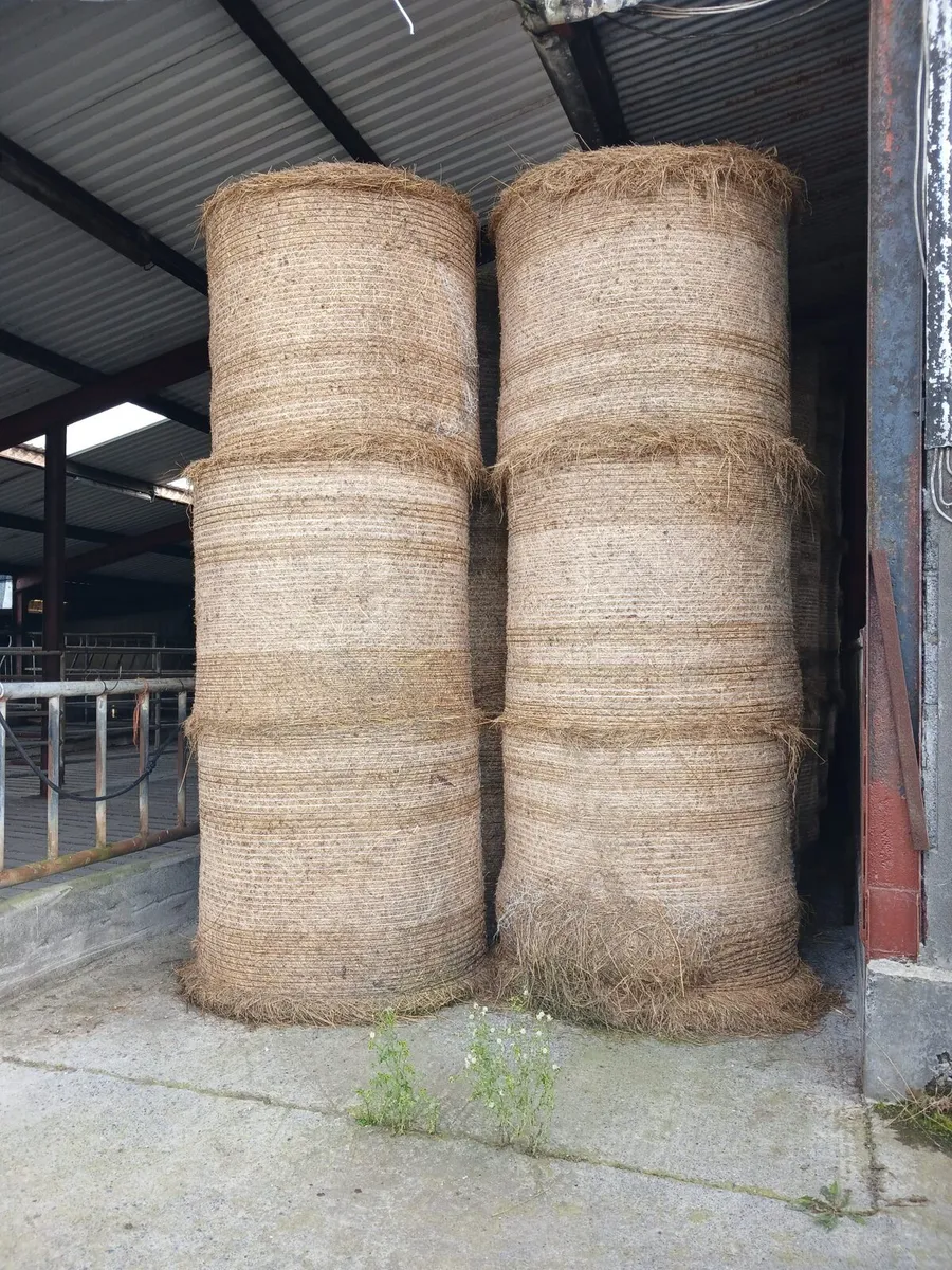 Hay bales