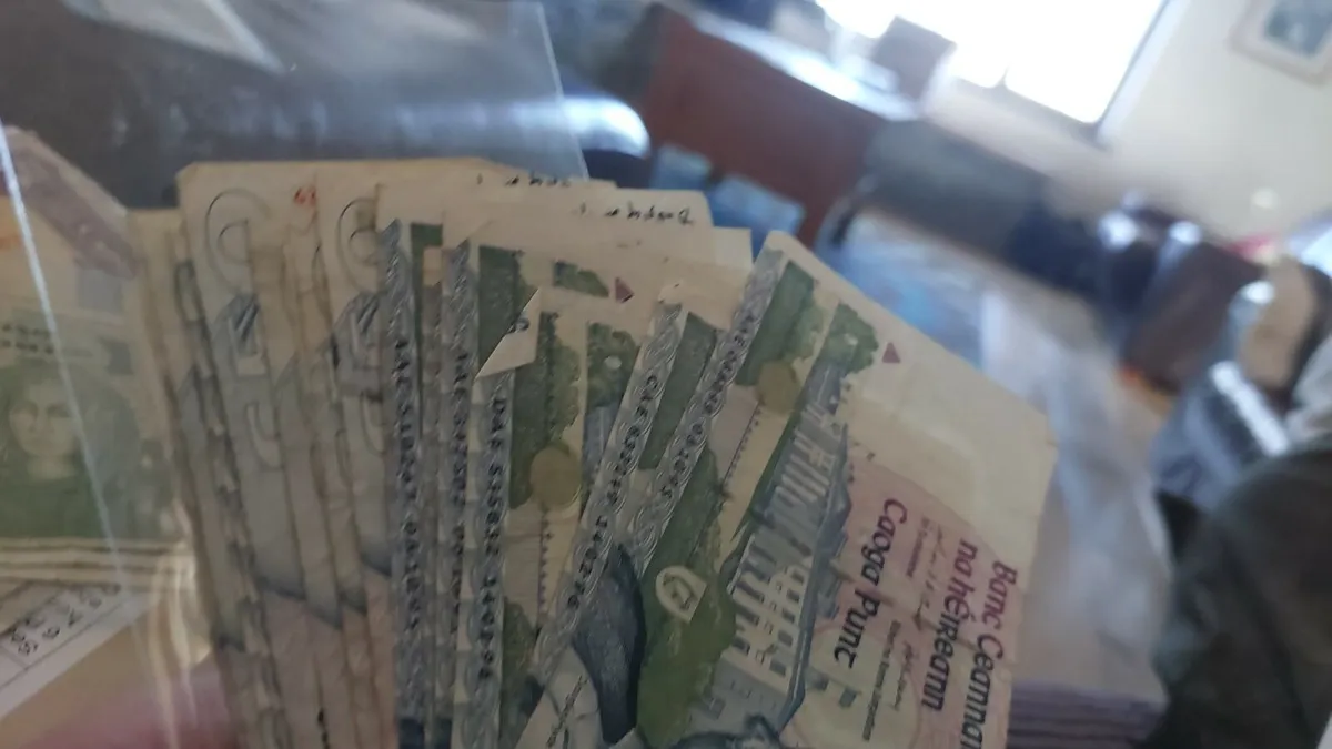 Banknotes and coins - Image 3