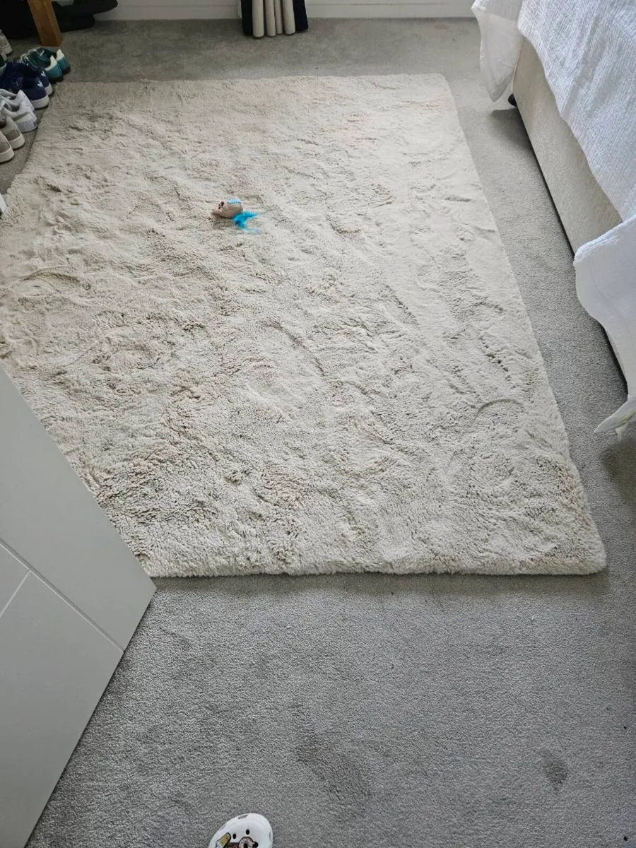 Carpet/mat - Image 1