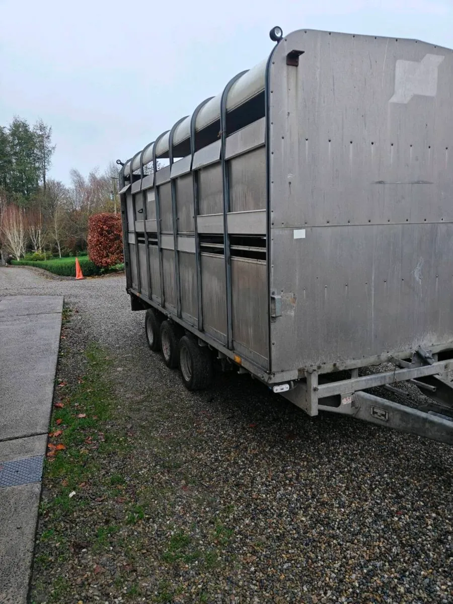 Ifor Williams - Image 2