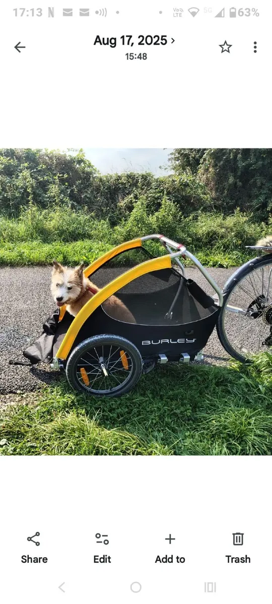 Dog bike trailer - Image 1