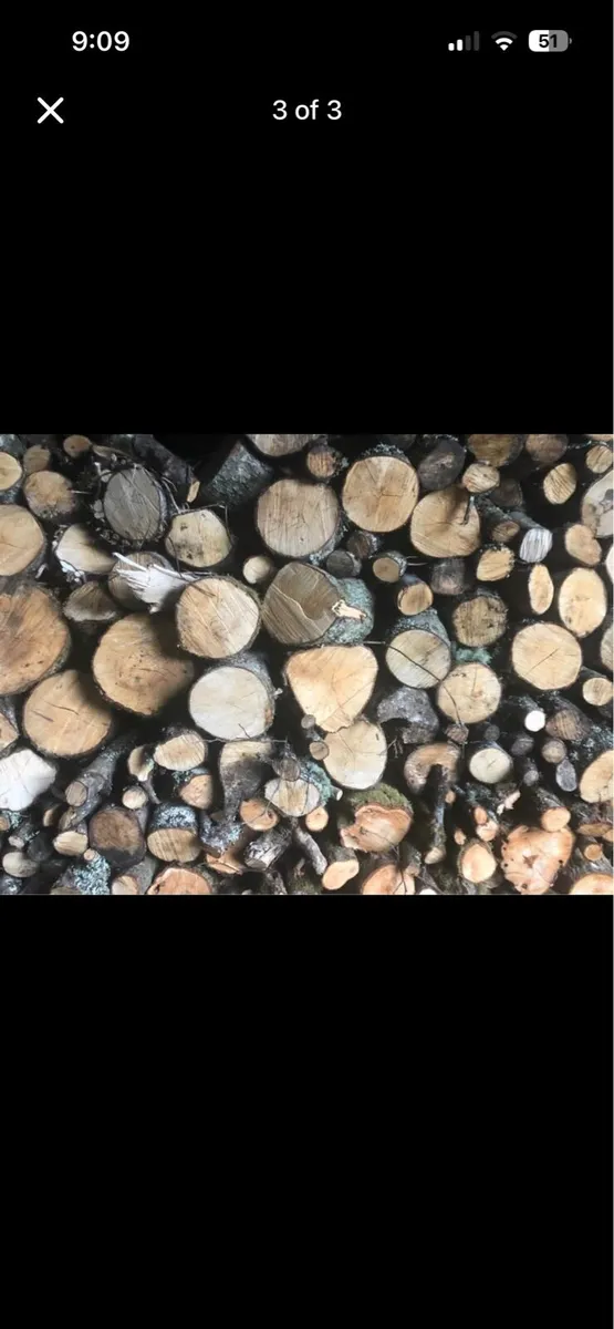 Firewood for sale - Image 1