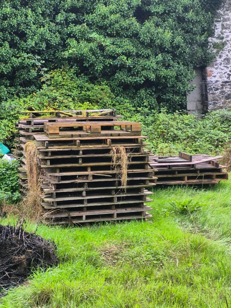 Pallets free to take away - Image 2