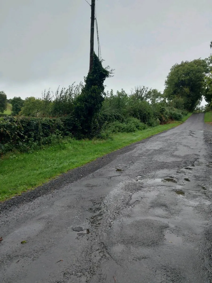 Hedge cutting/mulching land clearance - Image 4