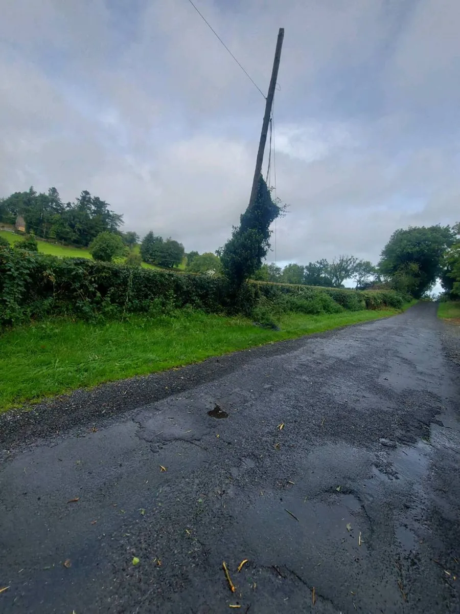 Hedge cutting/mulching land clearance - Image 3