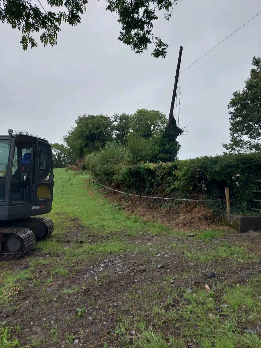 Hedge cutting/mulching land clearance - Image 2