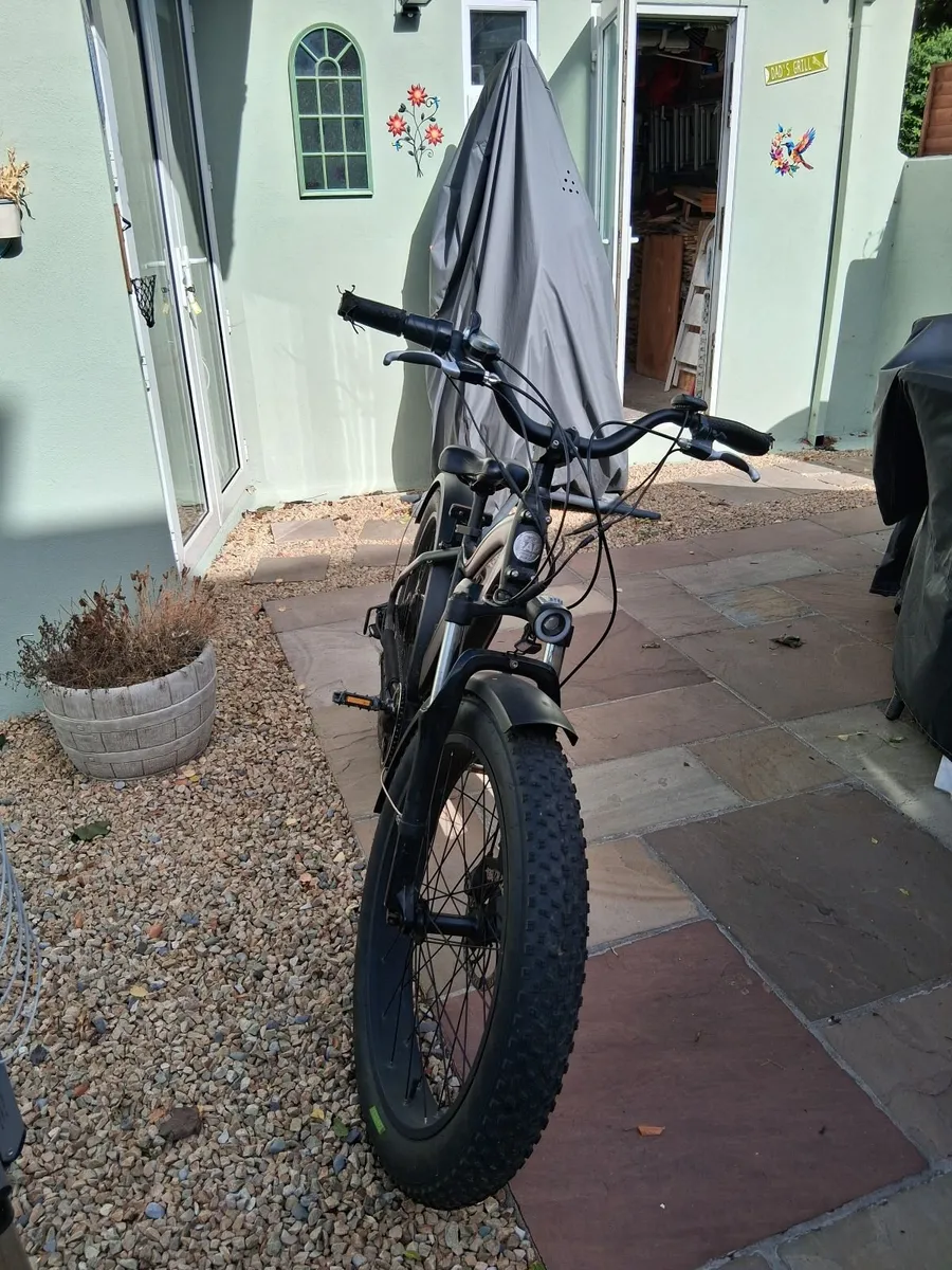 Electric bike - Image 2