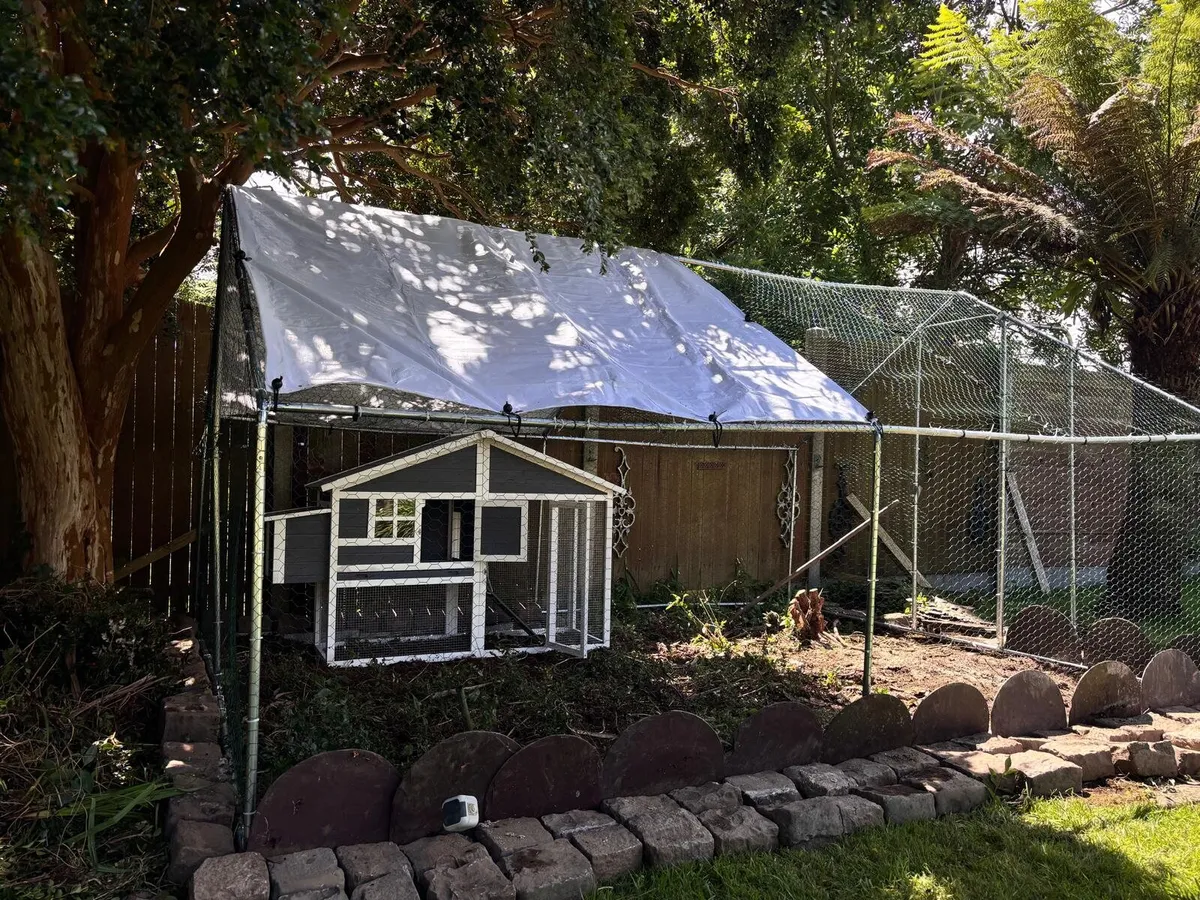 Chicken Run Run Full Setup - Image 1