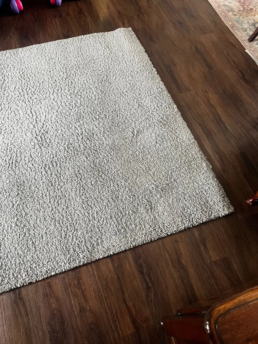 Large Grey Rug - Image 1
