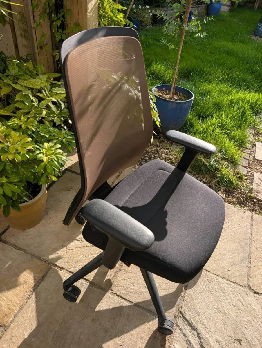 Ergonomic office chair - Image 1