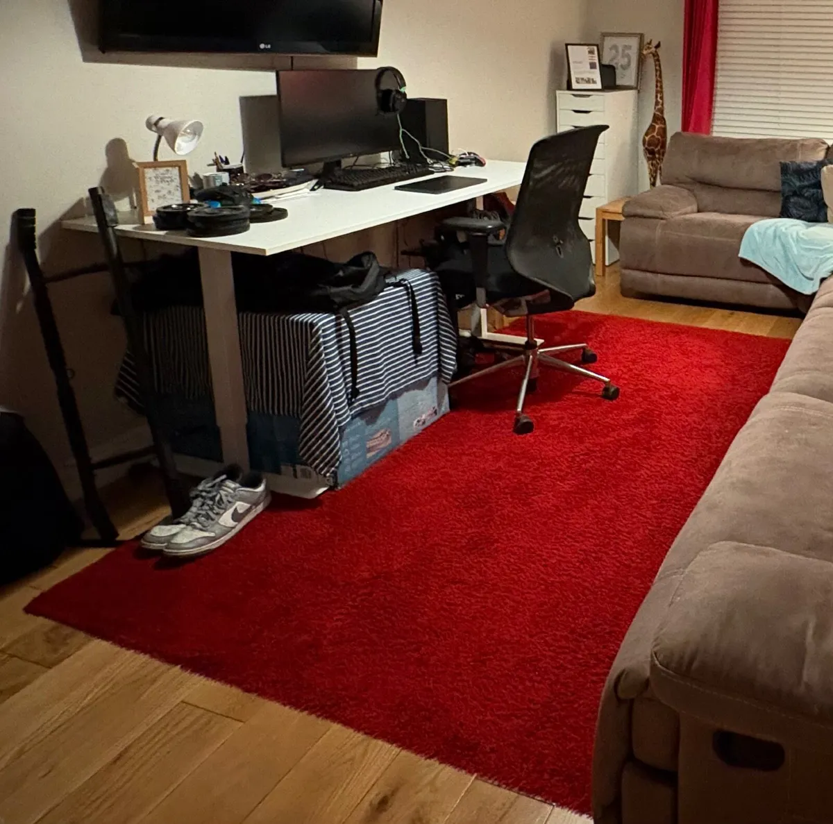 Rug - Image 1