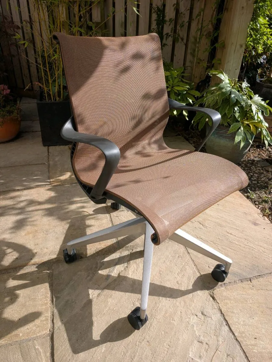 Ergonomic office chair - Image 1