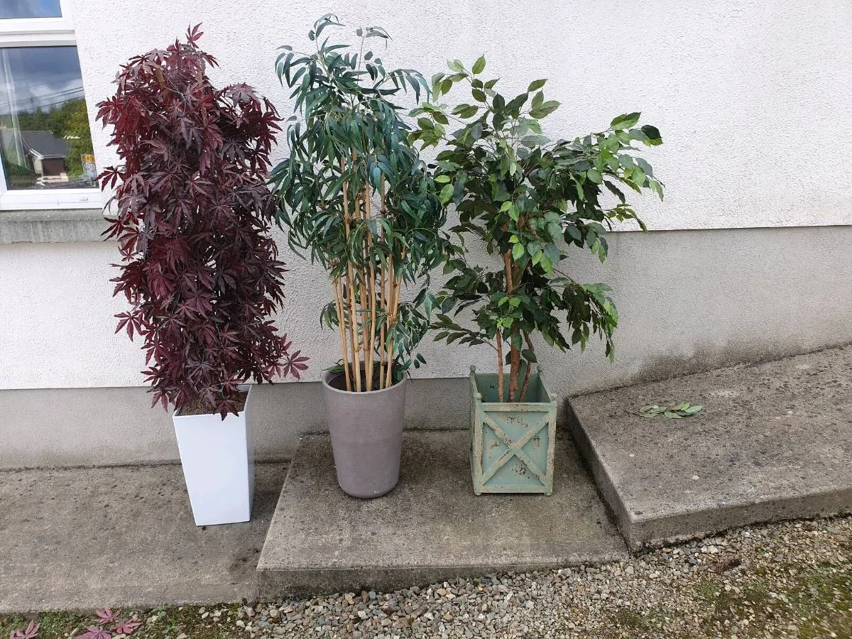 3 Artificial plants - Image 2