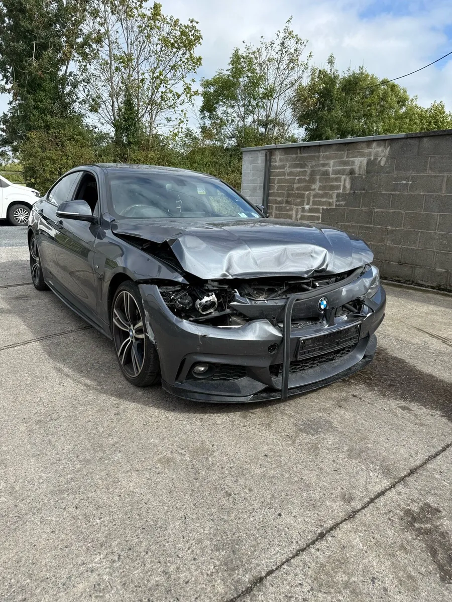 2017 BMW 420d M-Sport - Image 2
