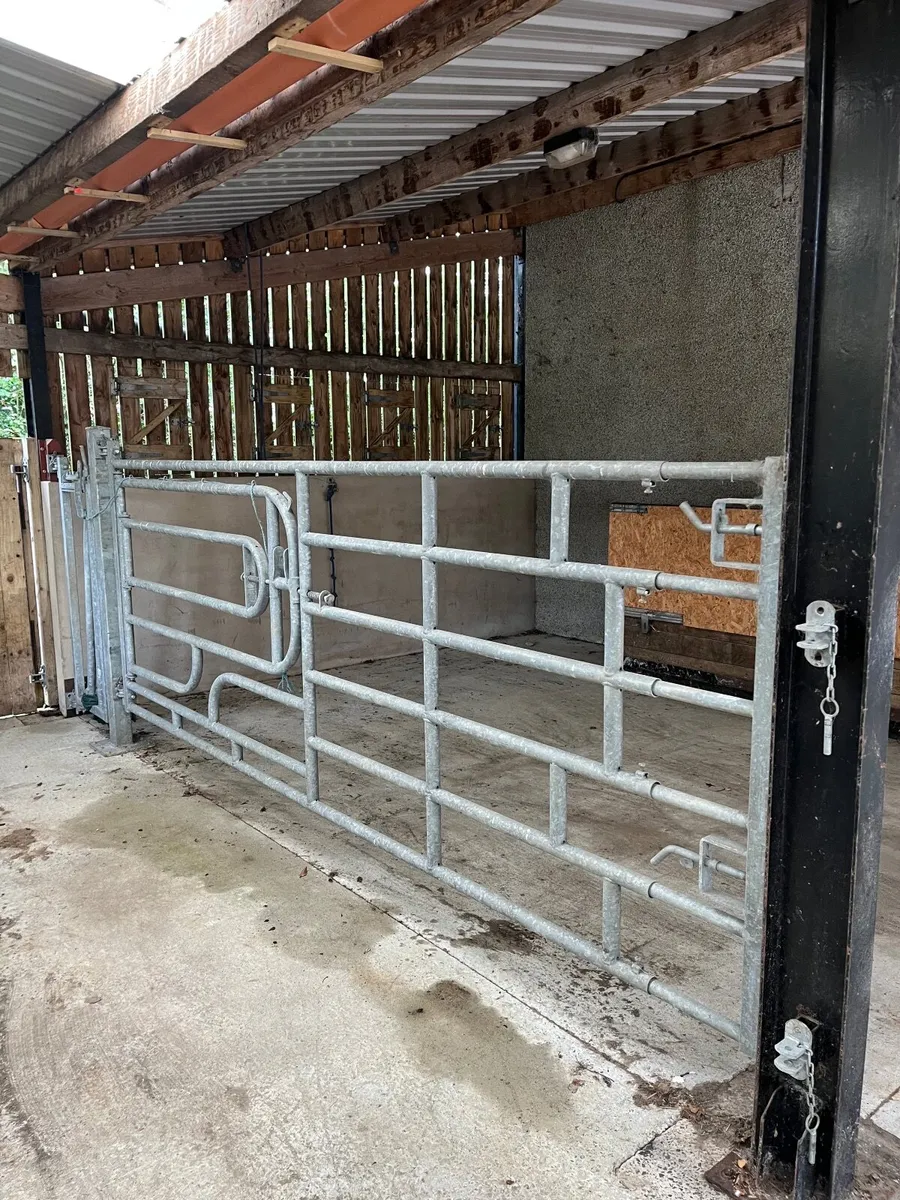 Calving gate - Image 2