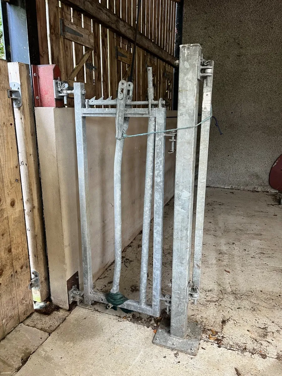 Calving gate - Image 4