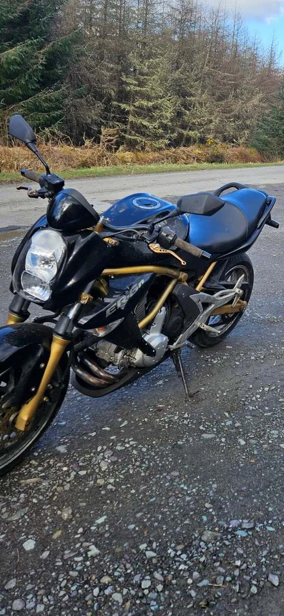 Kawasaki er6n - Image 1