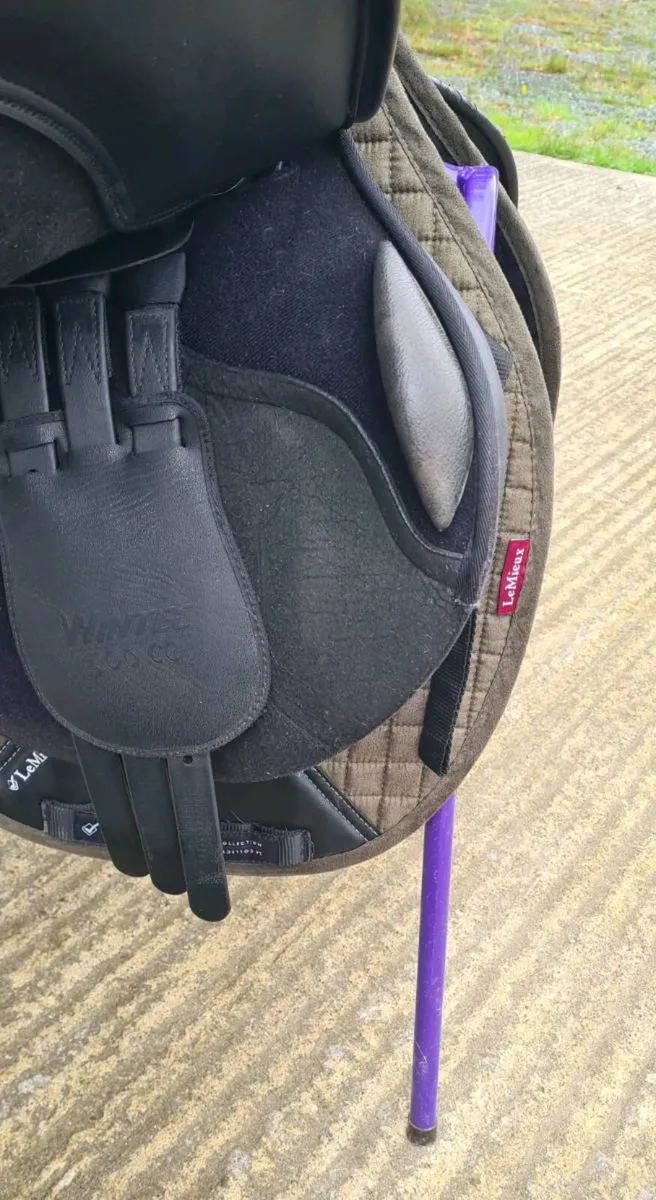 Wintec Saddle - Image 3