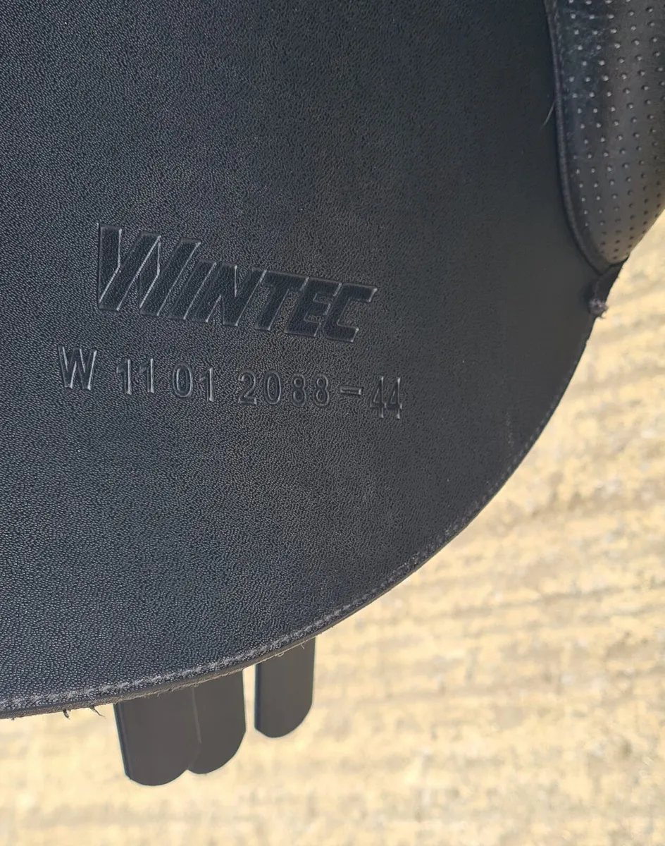 Wintec Saddle - Image 4
