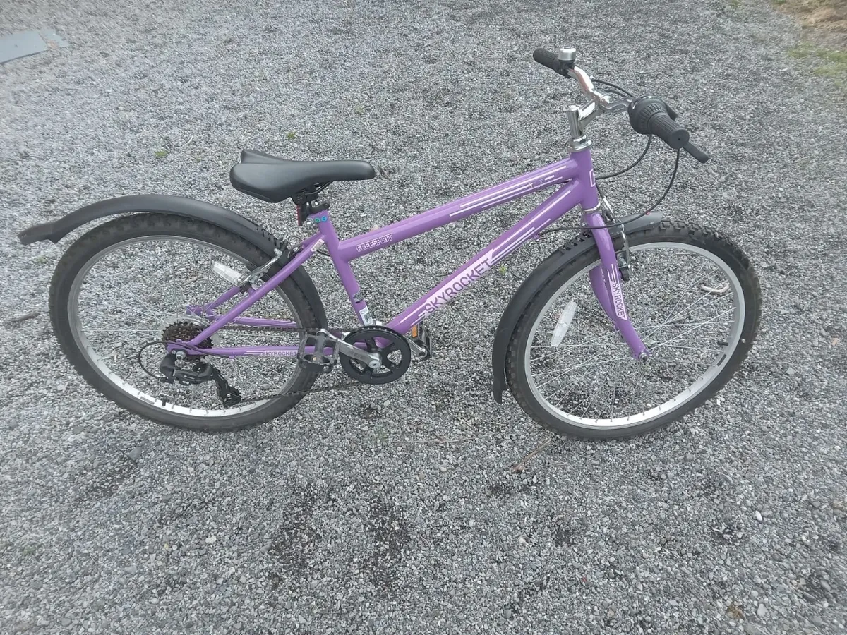 Girls Purple Skyrocket Free Spirit Bicycle