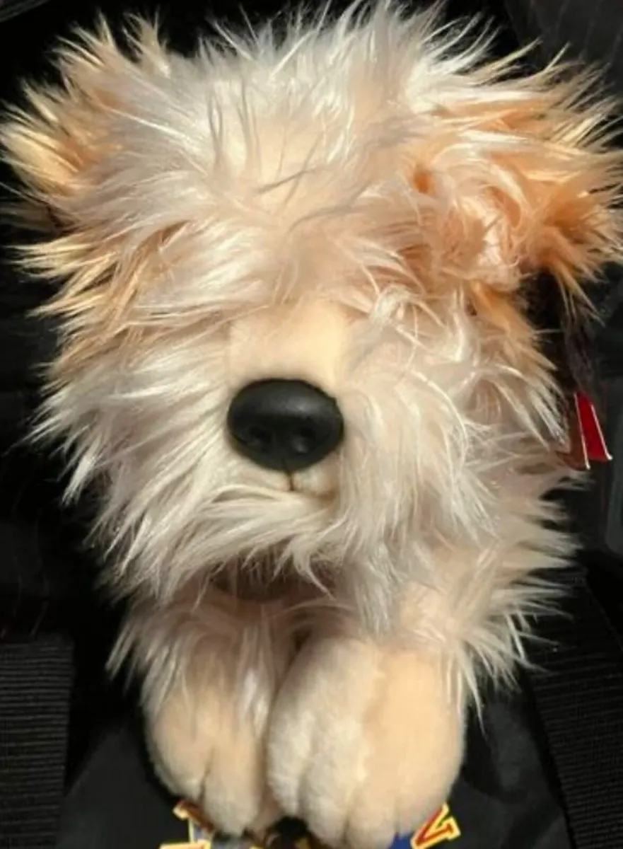 Various Soft Toys - Image 4