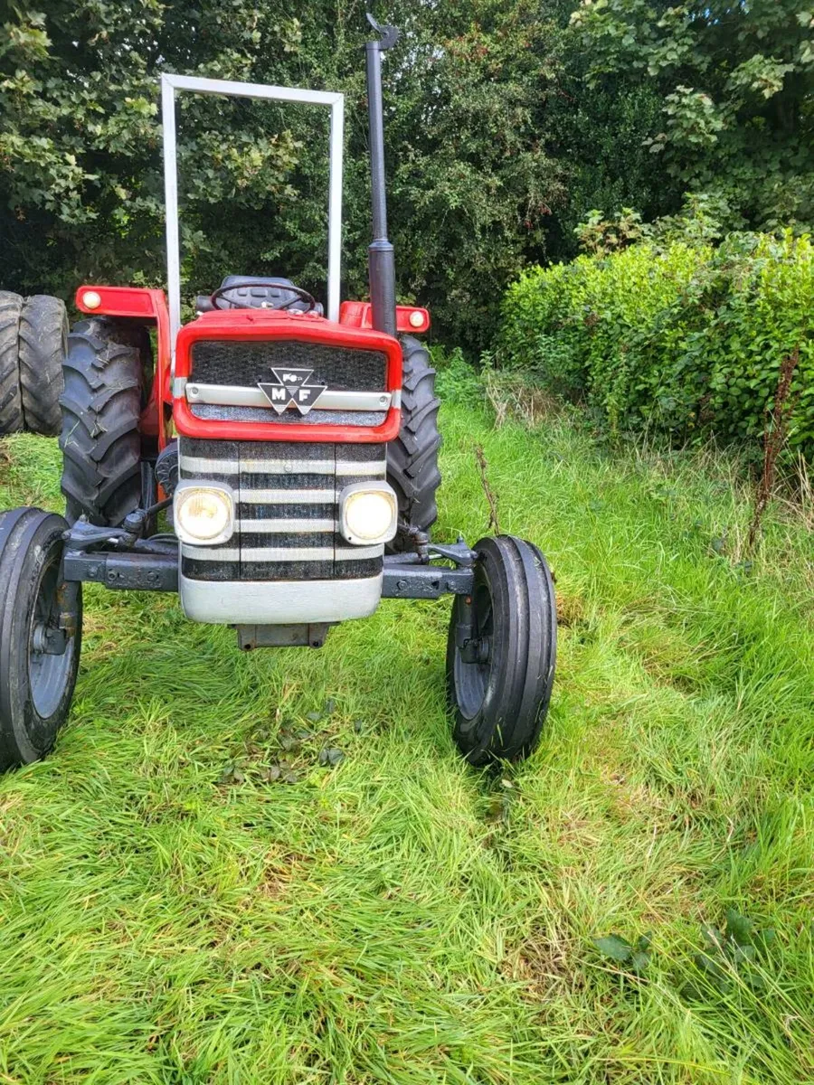 Massey 135 - Image 1