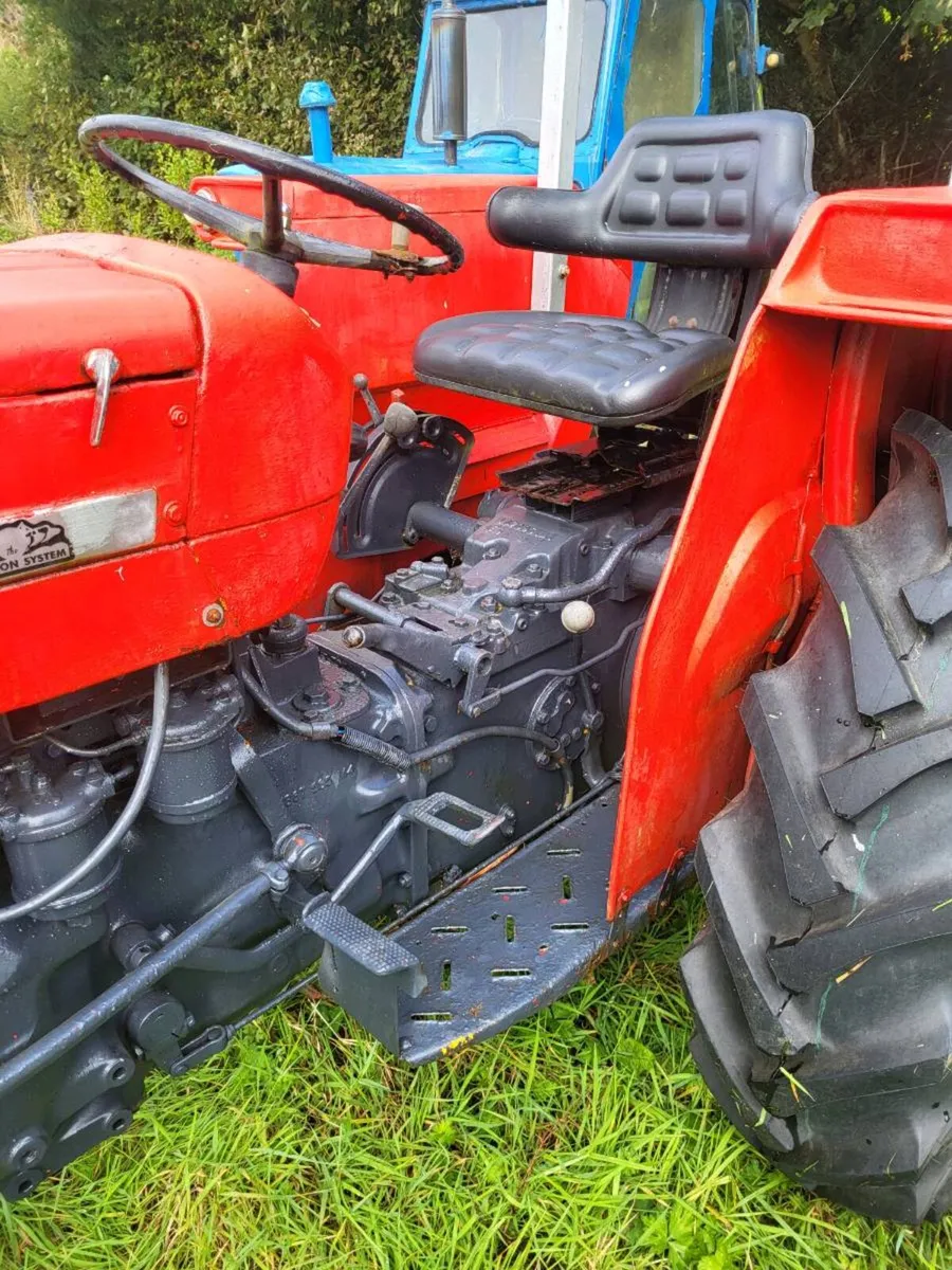Massey 135 - Image 2
