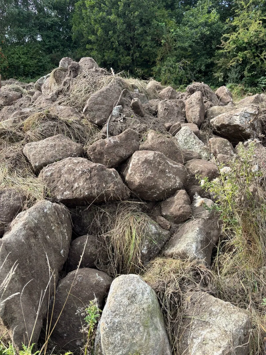 Granite - Image 4