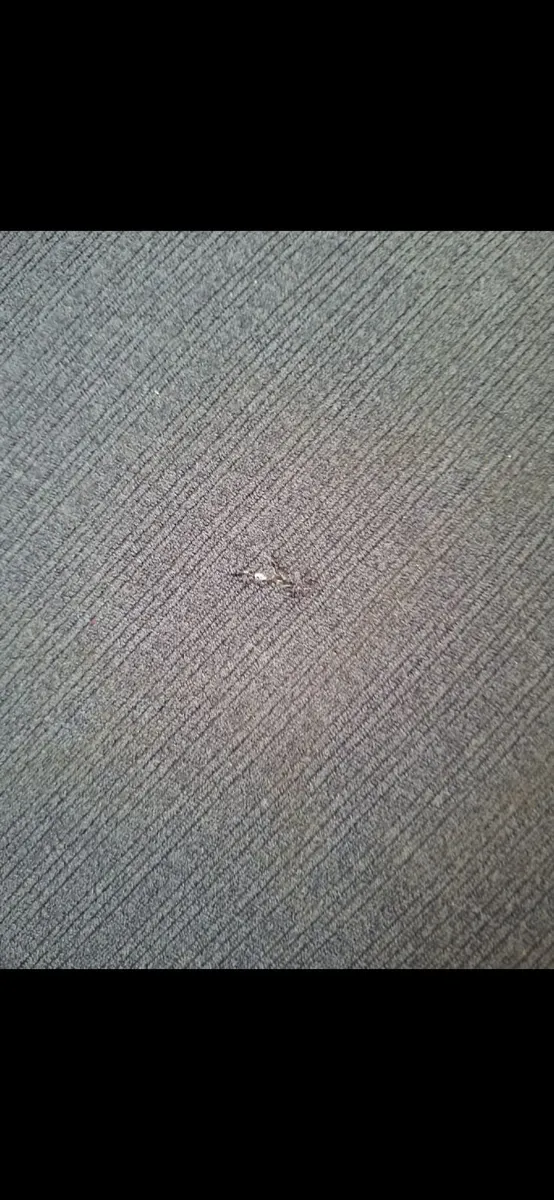 Couch - Image 4