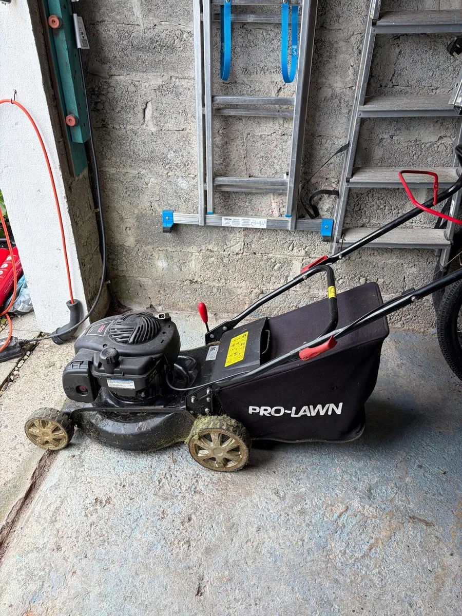 Petrol lawnmower