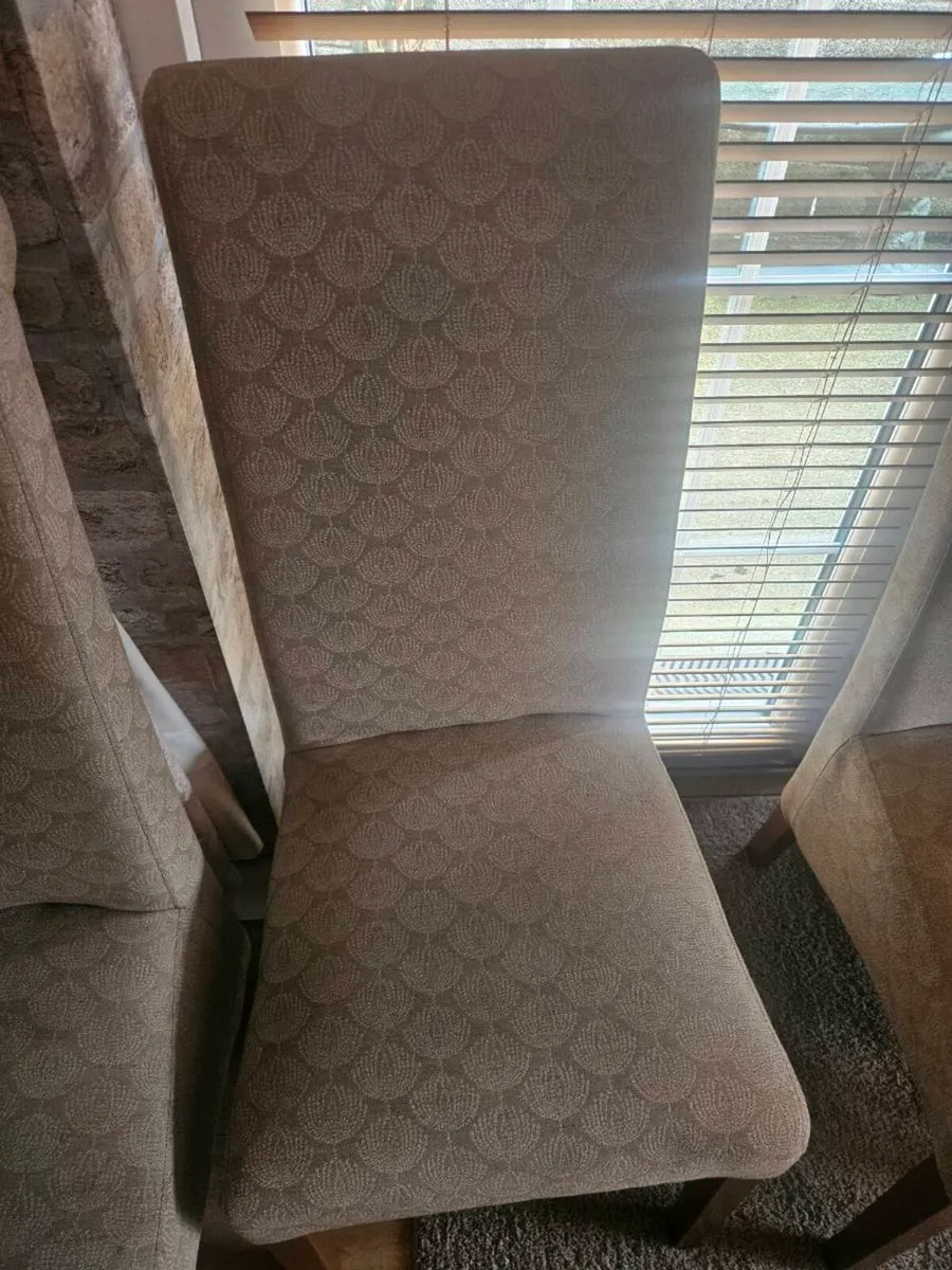 Dining/kitchen chairs - Image 4